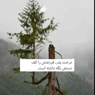 دانلود آهنگ  زهرا زهرا زهرا یار زهرا شهرام حاجی زاده