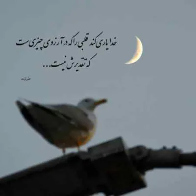 دانلود آهنگ تی ام بکس کلاب دانلود آهنگ تی ام بکس کلاب