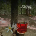 دانلود آهنگ علی احمدیانی آریایی