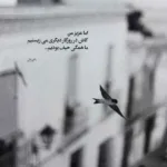 دانلود آهنگ گریه کن برام نوبتته الان علی نواب