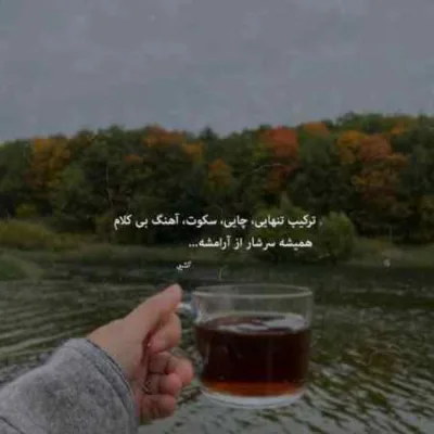دانلود آهنگ  برار برار نور چشم من رفیق شبهای غمو روز خش من کامل