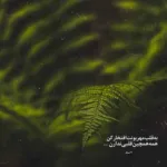 دانلود آهنگ بی صدا سوختم و ساختم در دل این شب درد ستار