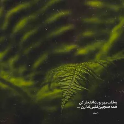 دانلود آهنگ بی صدا سوختم و ساختم در دل این شب درد ستار