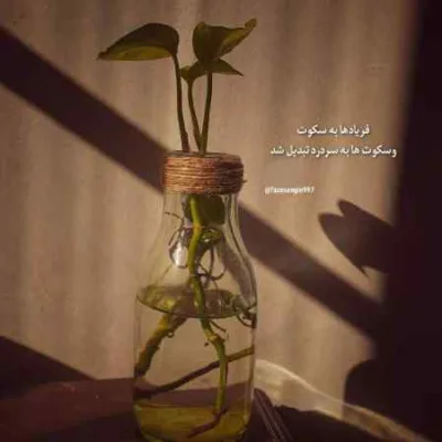 دانلود آهنگ  دلم امروز به آرومی خود خو کرده مهسا شرقی