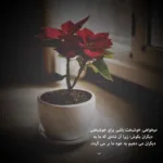 دانلود ریمیکس دلم تنگه واسه قدیمای خودم کامل