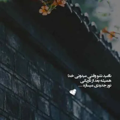 دانلود آهنگ دل و جانی مه قلب ضربانی امیر قمی