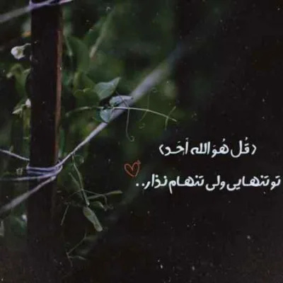 دانلود آهنگ دیشب خواب تورا دیدم عارف