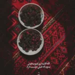 دانلود آهنگ هر آدمی دلش یه آدمی رو میخواد پویا