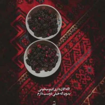 دانلود آهنگ  هر آدمی دلش یه آدمی رو میخواد پویا