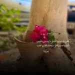 دانلود آهنگ هیکل ایول داره میخوای ببینی کن پیپل آره