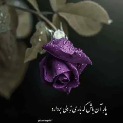 دانلود آهنگ میان به قصد استفاده اینجا کمپ ترک اعتماده