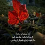 دانلود آهنگ جون جون جون من نری جایی نری تو بدون من آرش دانلود آهنگ جون جون جون من نری جایی نری تو بدون من آرش