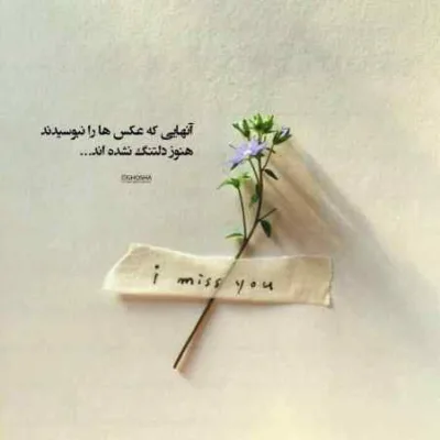 دانلود آهنگ هوار هوار یا هوار یارم میایه کوروش یغمایی