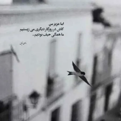 دانلود آهنگ  من گریه کردم واسه تو شب و‌ روز علی نواب