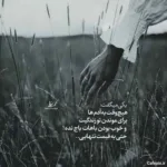 دانلود آهنگ من میرم پیشی میشم تو میری هاپو میشی دانلود آهنگ من میرم پیشی میشم تو میری هاپو میشی