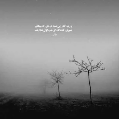 دانلود آهنگ  شکوفه در اومده از درخت قلبم
