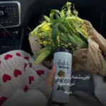 دانلود آهنگ ﺳﺎﻗﻰ ﻗﺮﺑﻮن ﺟﺎﻣﺖ دﻧﻴﺎ ﺑﺎﺷﻪ ﺑﻪ ﻛﺎﻣﺖ مرتضی جعفرزاده دانلود آهنگ ﺳﺎﻗﻰ ﻗﺮﺑﻮن ﺟﺎﻣﺖ دﻧﻴﺎ ﺑﺎﺷﻪ ﺑﻪ ﻛﺎﻣﺖ مرتضی جعفرزاده