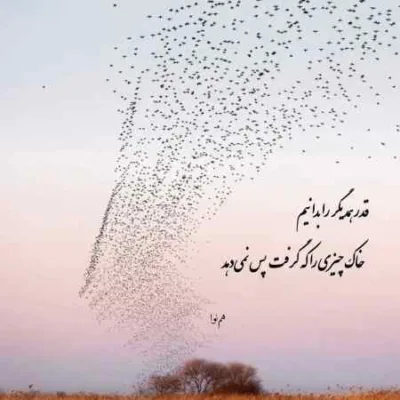دانلود آهنگ  رفتی و عوض شدی واسه من شایان اشراقی