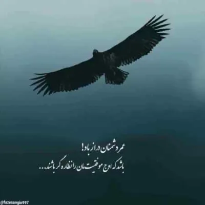 دانلود آهنگ سر کوی بالا دار چله دارنه فاطمه عطایی