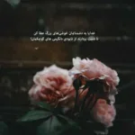 دانلود آهنگ stay with me ژاپنی دانلود آهنگ stay with me ژاپنی