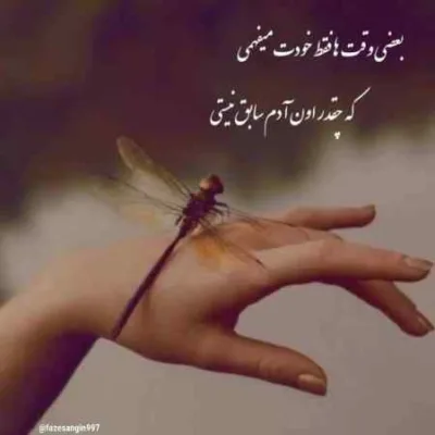 دانلود آهنگ Throw it از Young Stavo