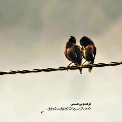 دانلود آهنگ  جنی you and me