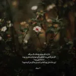 دانلود آهنگ آهای تویی که دوری این همه تو جات تو شاه نشین قلبمه شادمهر