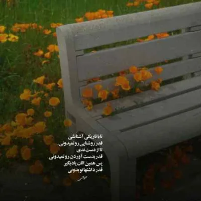 دانلود آهنگ  رفتی و آرزوم آرزو موند علی احمدیانی