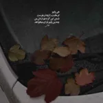 دانلود آهنگ آی نمیدونی دل آدم رو چه میشکونی شادمهر دانلود آهنگ آی نمیدونی دل آدم رو چه میشکونی شادمهر