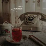 دانلود آهنگ از غم عشق تو ای صنم شجریان دانلود آهنگ از غم عشق تو ای صنم شجریان
