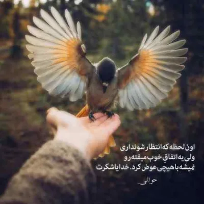 دانلود آهنگ به اون بچه قرتی بگو محسن لرستانی
