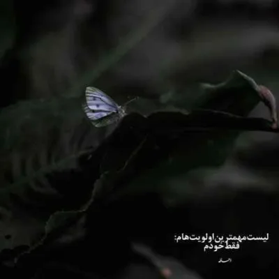 دانلود آهنگ بگو که از غم عشقت چگونه جان برهانم همایون شجریان