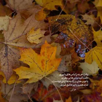 دانلود آهنگ  بوی گندم مال من داریوش