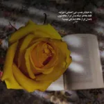 دانلود آهنگ دل به دام اون زلفای سیات بنده داوود بهبودی