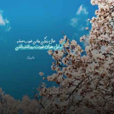 دانلود آهنگ  دل به عشقت مبتلا شد خوب شد از همایون شجریان کیفیت اصلی