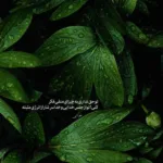 دانلود آهنگ الهی الهی دنیا برات بسازه عرفان طهماسبی دانلود آهنگ الهی الهی دنیا برات بسازه عرفان طهماسبی