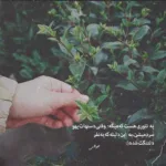 دانلود آهنگ حالا هی برو بیا صد بارم ارمین زارعی
