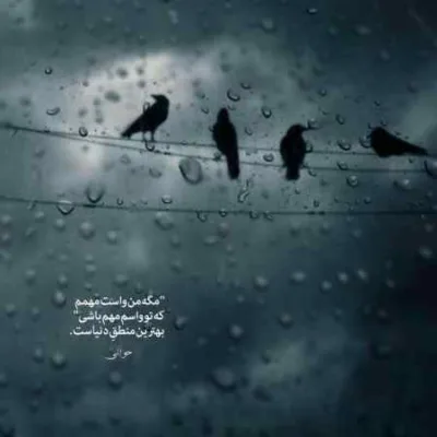 دانلود آهنگ  کلاغ دم سیاه قار قارو سر کن مسلم فتاحی