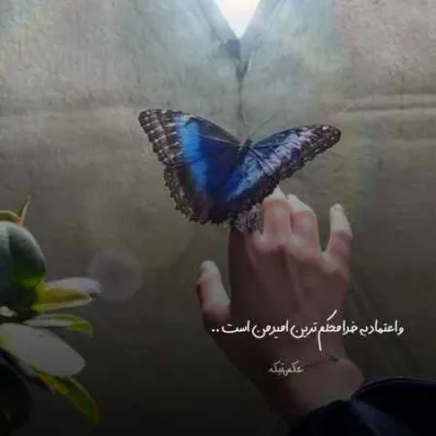 دانلود آهنگ خوشا ای دل بال و پر زدنت عبدالحسین مختاباد