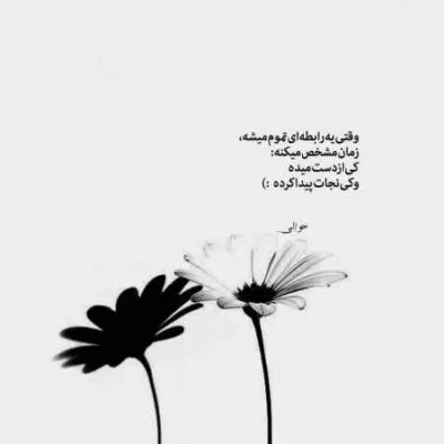 دانلود آهنگ  من هم دلم تنگته هم قهرم باهات حامیم