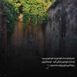 دانلود آهنگ مرا بخاطر دل شکسته ام ببخش علیرضا قربانی دانلود آهنگ مرا بخاطر دل شکسته ام ببخش علیرضا قربانی