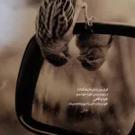 دانلود آهنگ مهراب مسافر خونه دانلود آهنگ مهراب مسافر خونه