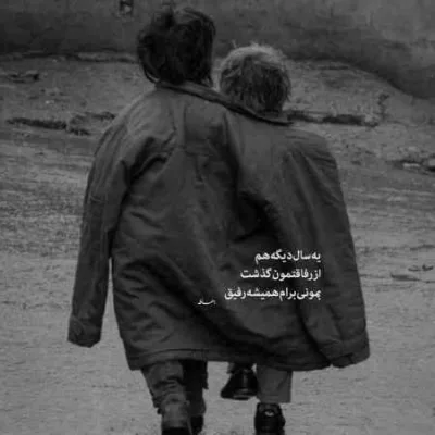 دانلود آهنگ  مثل یه پرنده که همه پراشو چیدن شادمهر