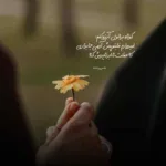 دانلود آهنگ ﻣﻴﺮم اﻳﻦ ﺑﺎر روی ﺣﺮﻓﺎم واﻳﻤﻴﺴﻢ ﻣﻦ محسن لرستانی دانلود آهنگ ﻣﻴﺮم اﻳﻦ ﺑﺎر روی ﺣﺮﻓﺎم واﻳﻤﻴﺴﻢ ﻣﻦ محسن لرستانی