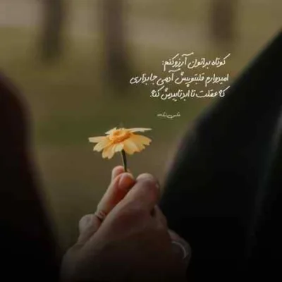 دانلود آهنگ ﻣﻴﺮم اﻳﻦ ﺑﺎر روی ﺣﺮﻓﺎم واﻳﻤﻴﺴﻢ ﻣﻦ محسن لرستانی