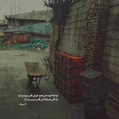 دانلود آهنگ مو سوختم مو برشتم سندی