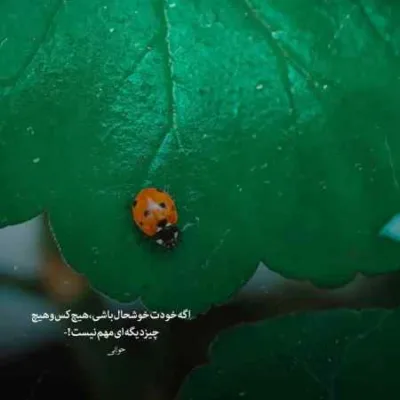 دانلود آهنگ نه راه برگشت واسه من نه راه جبران واسه تو مهدی احمدوند دانلود آهنگ نه راه برگشت واسه من نه راه جبران واسه تو مهدی احمدوند