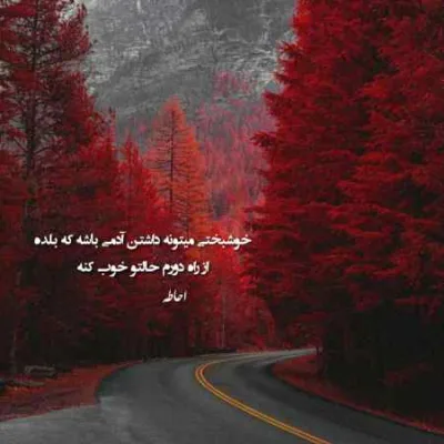 دانلود آهنگ نرو یکی یک دونه من مرتضی پاشایی