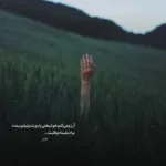 دانلود آهنگ ابرو کمون لو مخملی تو ور برشتم امید جهان و ماهک دانلود آهنگ ابرو کمون لو مخملی تو ور برشتم امید جهان و ماهک