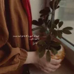 دانلود آهنگ اون دیگه رفته برنمیگرده علیها